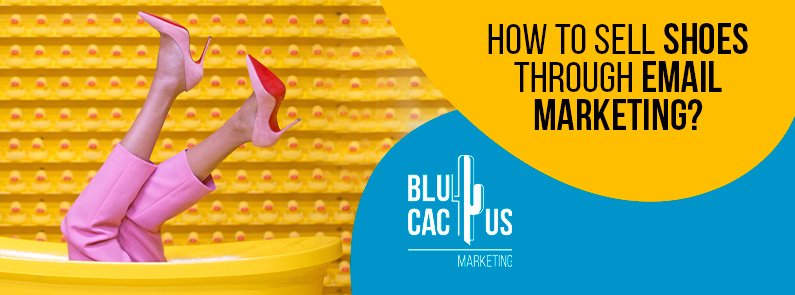 BluCactus – How to sell shoes through email marketing? BluCactus - How to sell shoes through email marketing?
